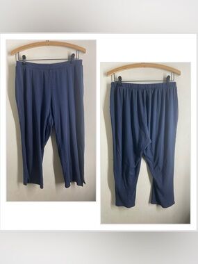 Eileen Fisher Garnet Hill Organic Pima Cotton Cropped Pants Blue Women’s M